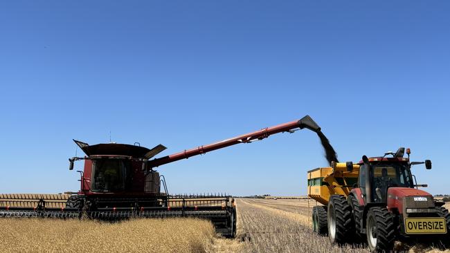 Harvest of canola at Bruce and Heather Talbot's property in Western Australia. Picture: Supplied