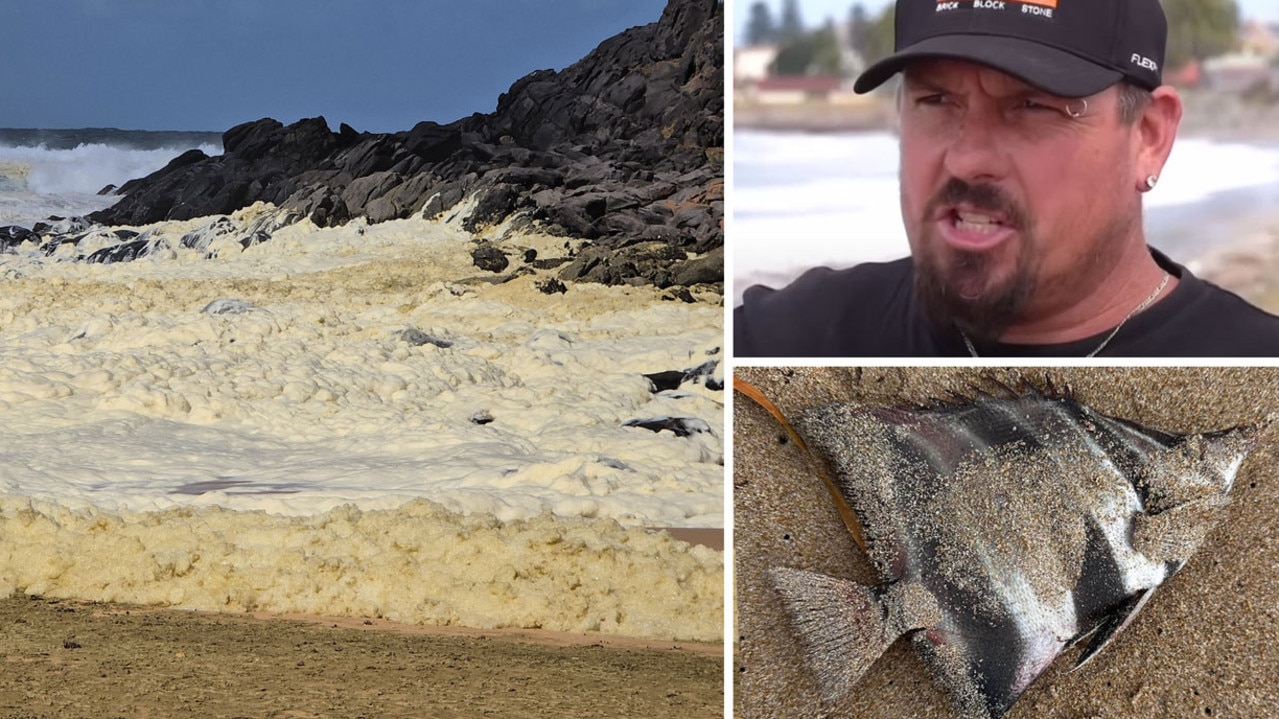 Surfers sick as dead fish wash up in mystery foam on popular beach