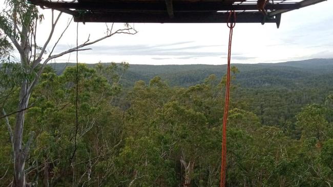 View from the tree sit at Girard State Forest, back in April 26,2022. Picture: Forest Defence NSW Facebook