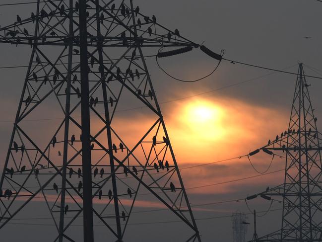 (FILES) In this file photo taken on February 17, 2017 birds sit on electricity pylons as the sun rises behind them on the outskirts of New Delhi. Indus Towers and Bharti Infratel are merging to create the world's largest mobile tower operator, outside China, according to a statement from Bharti Airtel, Idea Cellular and Vodafone Group, with the new venture holding 163,000 towers across 22 telecom service areas, reported the Press Trust of India (PTI). / AFP PHOTO / Prakash SINGH