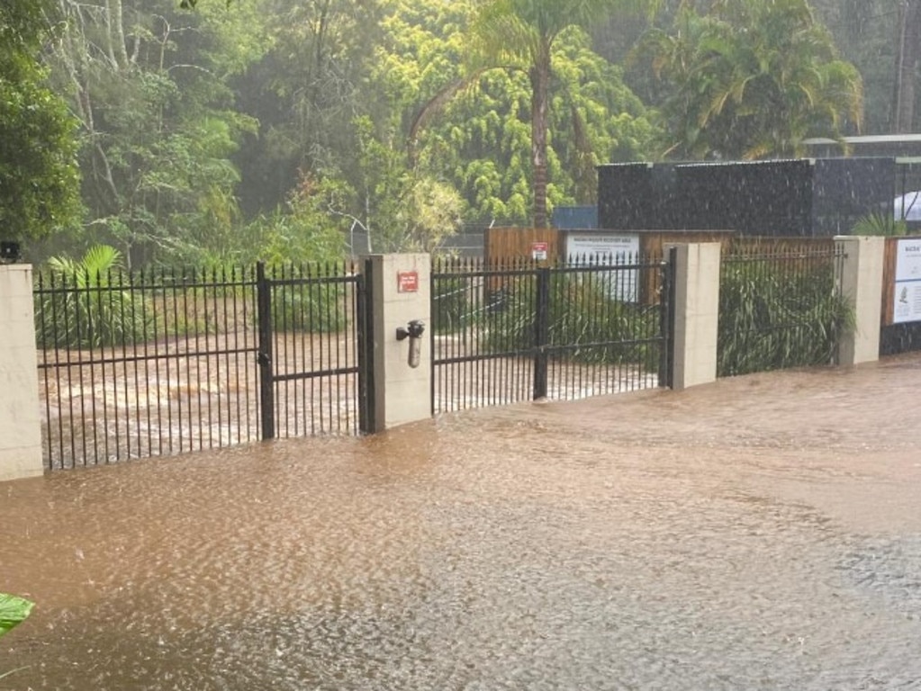 A Byron Bay sanctuary park went underwater on Thursday. Picture: Byron Bay Wildlife Sanctuary