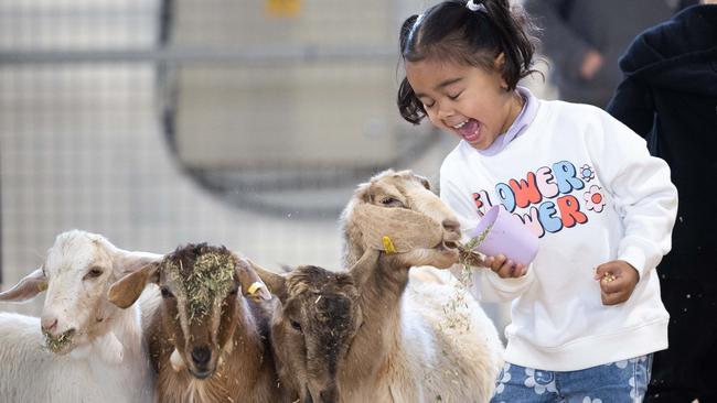 Sienna, 4, has a blast in the Animal Nursery. Picture: Jason Edwards