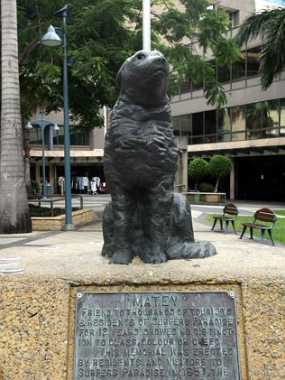 Matey the dog at Cavill Park in Surfers Paradise. Matey would walk local drinkers home from Jim Cavill's hotel in the 1940s.