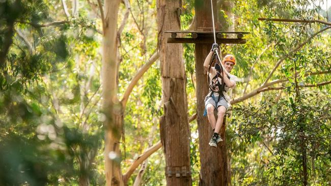 Baye Barrett at Treetop Adventure Cape Tribulation previously Jungle Surfing Canopy Tours which will reopen in June. Picture: Supplied.