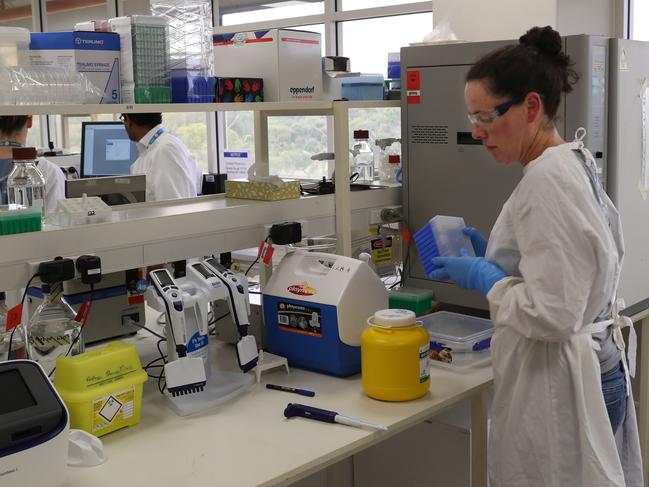 Scientists at work in the CSIRO’s high-containment facility in Geelong, which has commenced key research in the rapid global response to the novel coronavirus outbreak. Picture: David Crosling