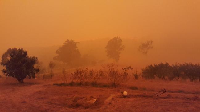 Fires in Coolagolite on New year's Eve in 2019. Picture: Jon Concannon