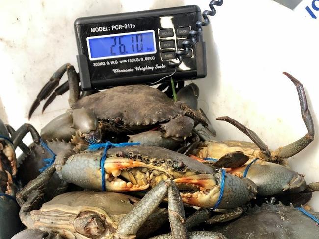 SOCIAL MEDIA IMAGE DISCUSS USE WITH YOUR EDITOR - NSW DPI Fisheries shared the photos of the illegal crab haul in the Tweed Heads region.