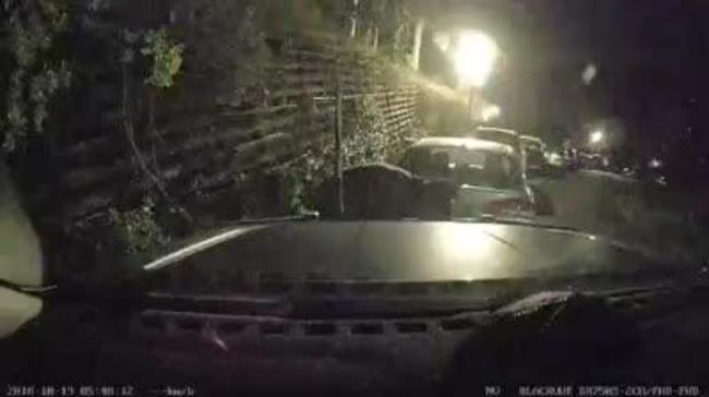 Viral dashcam footage shows man stealing from car