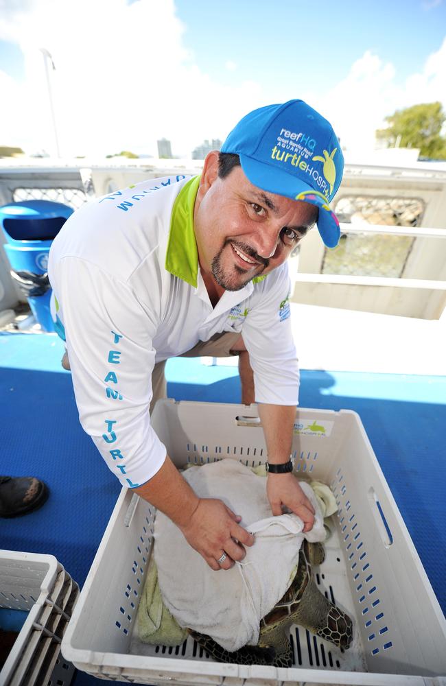 2014: Reef HQ’s Fred Nucifora at the Aquarium Turtle Hospital.