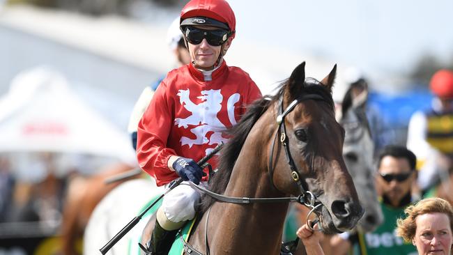 Geelong Cup winner Runaway will skip the Lexus Stakes and head straight into the Melbourne Cup. Picture: AAP