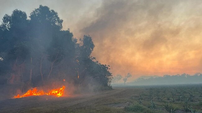 A grass fire that started south of a famous agave farm was stopped at the creek as firefighter and volunteers battled the fire via backburning. Picture: Contributed