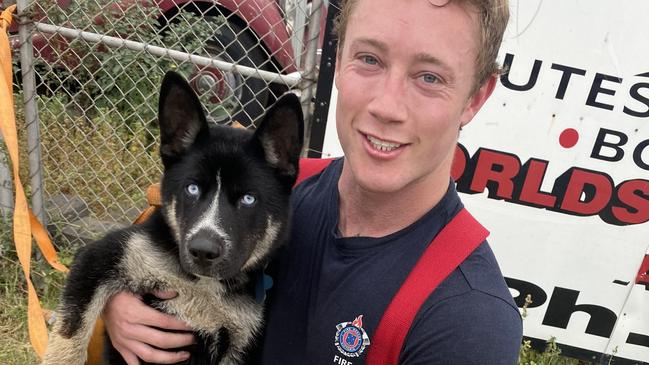 Rescued puppy Ember was found inside a Sunshine North factory fire by Mr Eldridge before he handed her to a ranger. Picture: Supplied