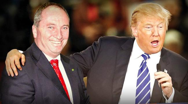 Barnaby Joyce and Donald Trump: What can they teach each other? Photo Digitally altered. Picture: Digitally altered