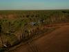 Farm hit with NT’s first ever land clearing prosecution
