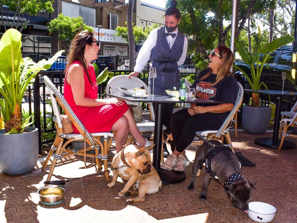 Outdoor dining with dogs at Organica Cafe. Picture: Supplied