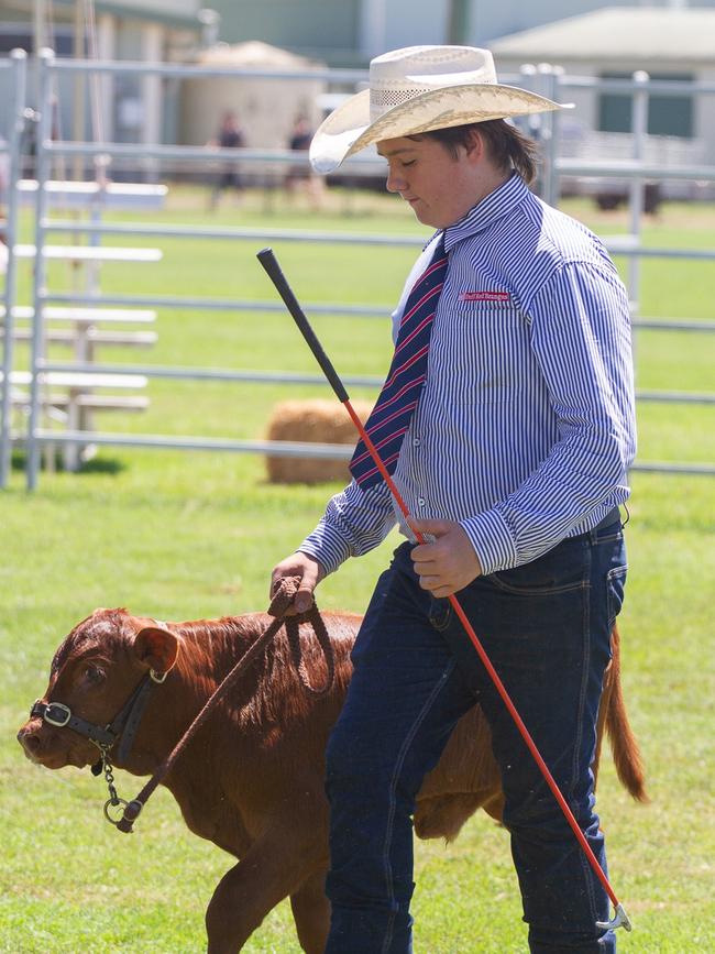 Visitors to the 2023 Murgon Show also enjoyed watching the cattle classes in the main ring.