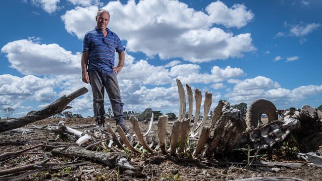Farmer Steve Harrison knows what it means to have his property in Giffard West affected by drought, and how important it is for communities to come together at times like that. Picture: Jake Nowakowski