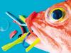 Are microplastics making us sick?