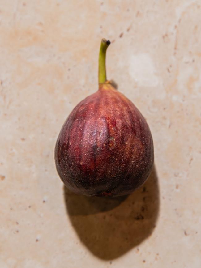 Figs are ancient and perfectly in season right now. Photo: Nikki To / TWAM