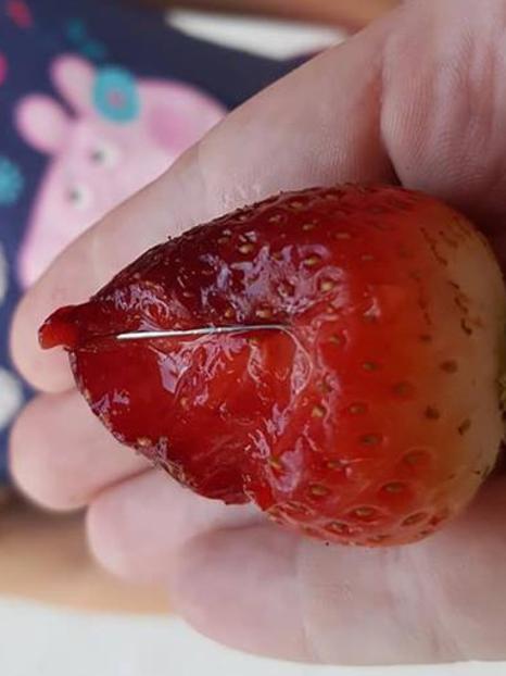 A man claimed his daughter had bit into a strawberry with a needle in it, but has since been charged with making a false report.