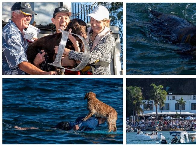 Paddling to be top dog in race that stops the Peninsula