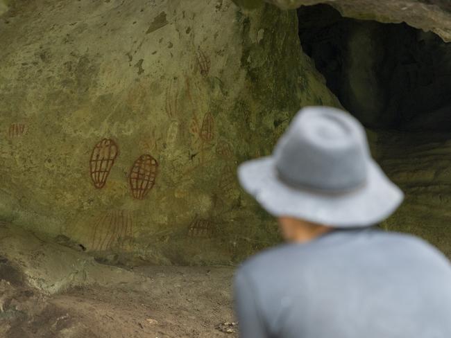 Rock art at the Ngaro Cultural Site. Picture: TEQ