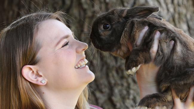 Kathryn Cox has adopted Jasper the rabbit, the 5000th adoption for the Rouse Hill RSPCA. Pictures: David Swift