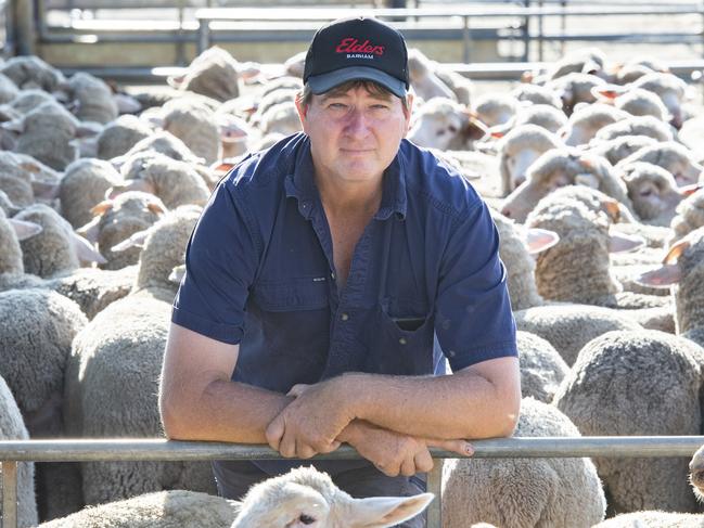 Lamb demand heats up at Bendigo