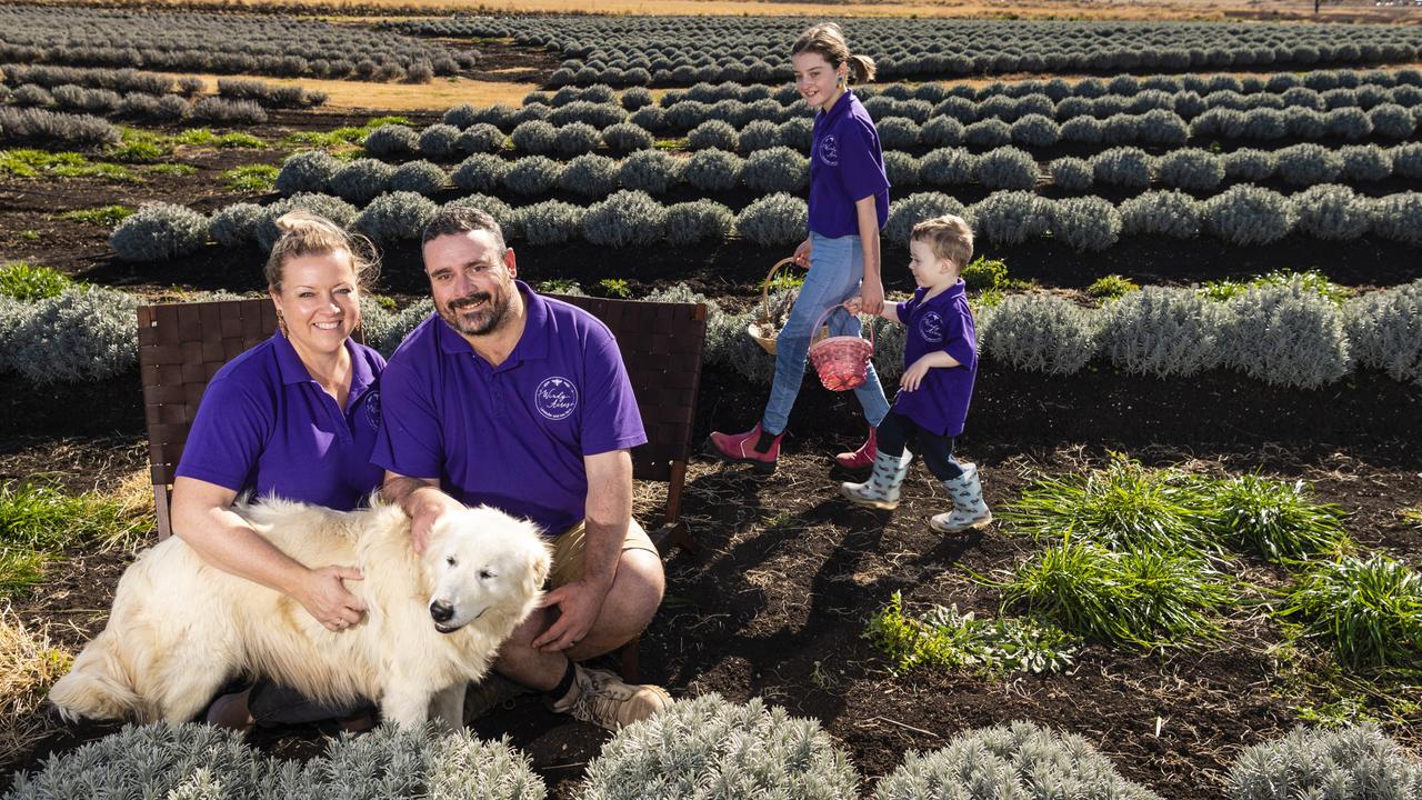 Windy Acres Farm owners Craig and Alicia Vohland, with kids Mia and Noah and dog Milly, are finalists in the Australian Rural Business Awards, Wednesday, June 22, 2022. Picture: Kevin Farmer