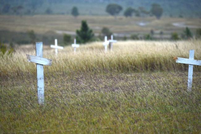 White crosses represented the fallen . Picture: Renee Albrecht