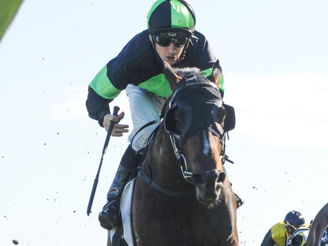 Jockey Jason Collett rides Sesar to victory in race 6, the Polytrack Roman Consul Stakes during Spring Champion Stakes Day at Royal Randwick Racecourse in Sydney, Saturday, October 6, 2018.  (AAP Image/Simon Bullard) NO ARCHIVING, EDITORIAL USE ONLY