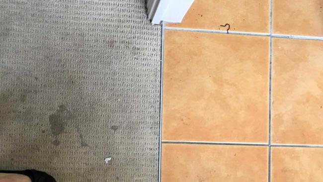 DAMAGE: Carpets in the home are heavily stained.