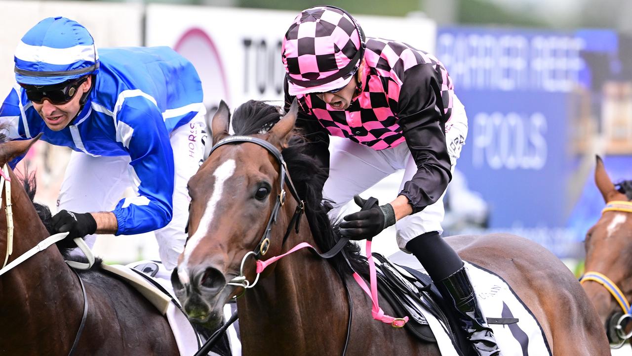 Comeback of the year? Heathcote will never write off Rothfire
