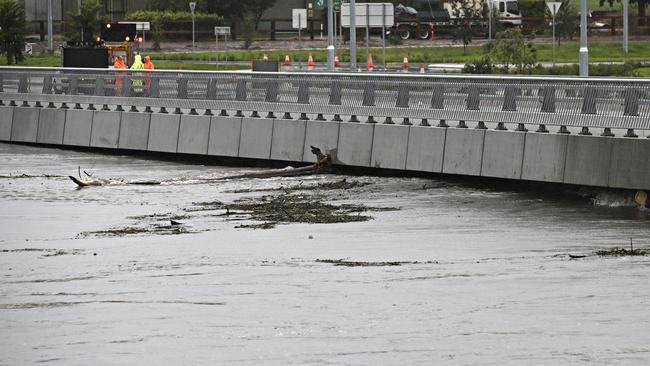 The raging floodwaters carried trees and debris into the new Windsor bridge. Picture: Adam Yip