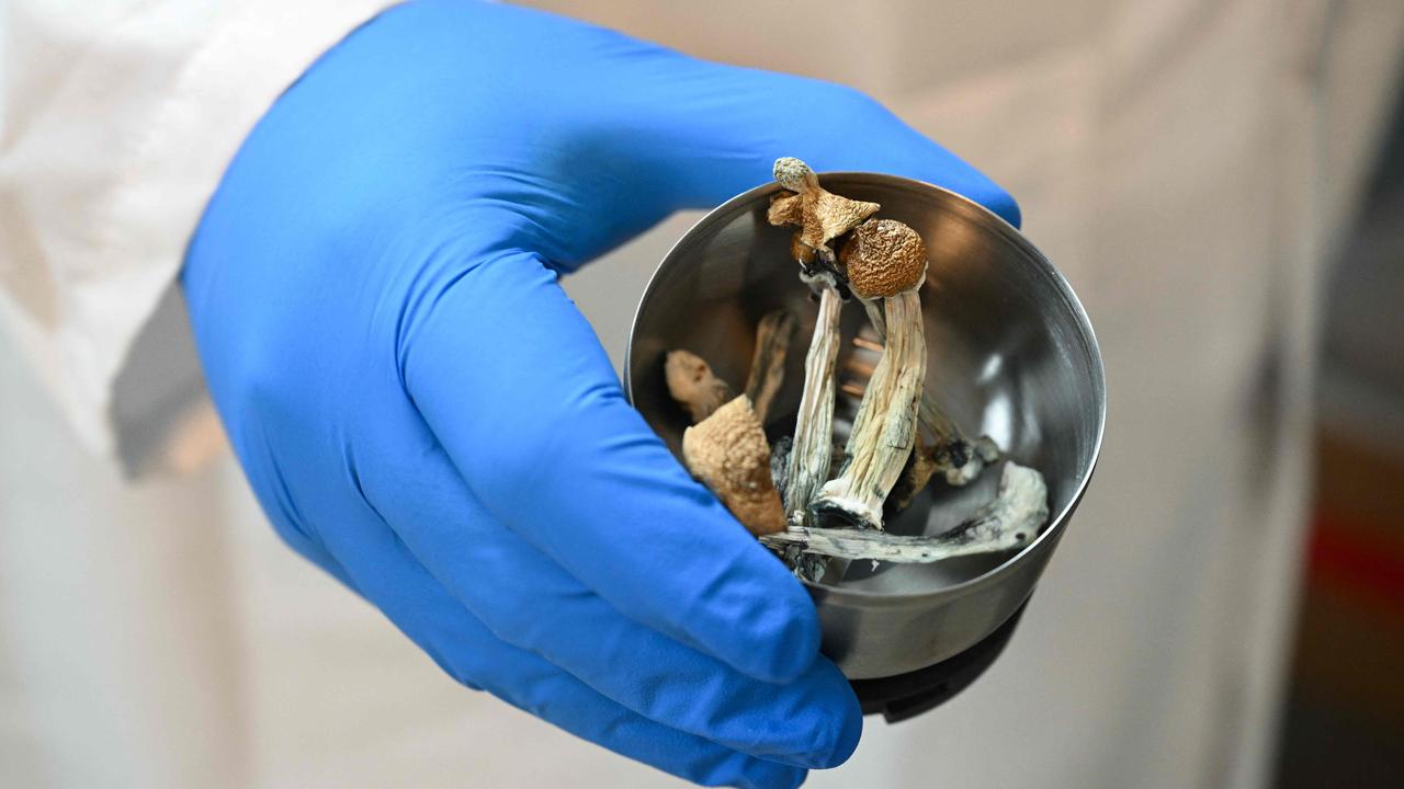 Psilocybin therapy has been shown to be a promising treatment for other mental illnesses and is associated with improvements in anxiety, cognitive flexibility and self-acceptance. Picture: Robyn Beck / AFP