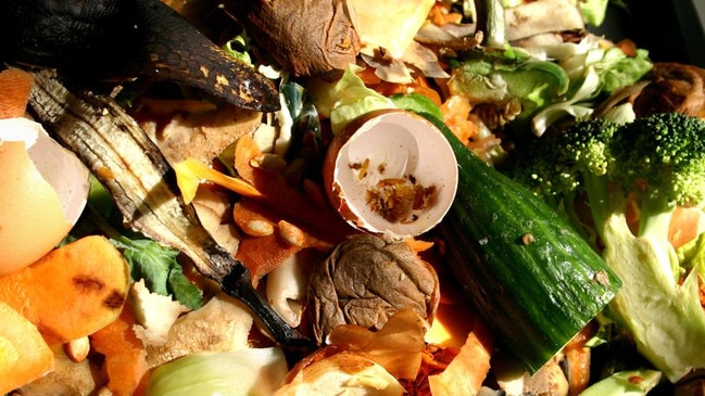 Australians are wasting tonnes of food every year. Picture: Supplied