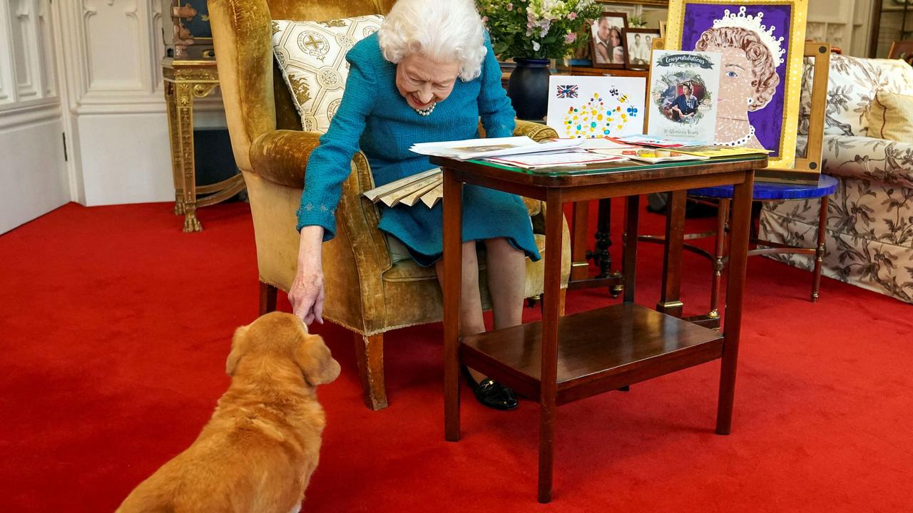 Queen Elizabeth II stroking Candy as she looks at a display of memorabilia from her Golden and Platinum Jubilees. Picture: Steve Parsons/AFP