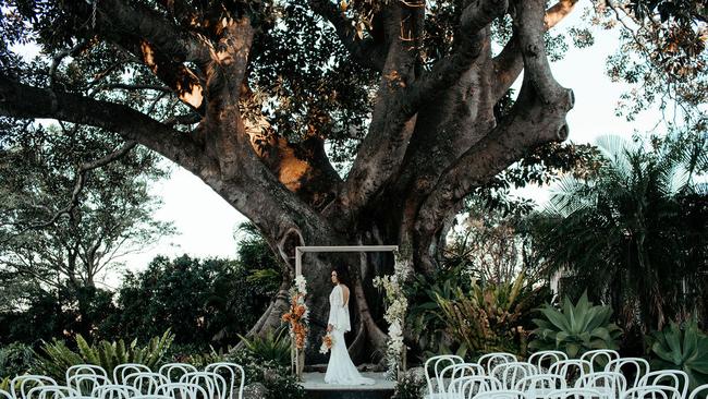 They’re very popular as a backdrop for wedding photography. Picture: Fig Tree Restaurant, Byron Bay.