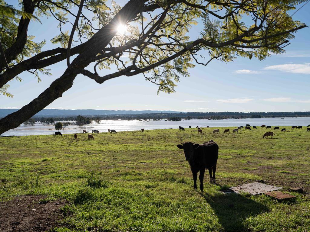 Floodwater from the swollen Hawkesbury River, in north Richmond Sydney: Picture: NewsWire / Flavio Brancaleone