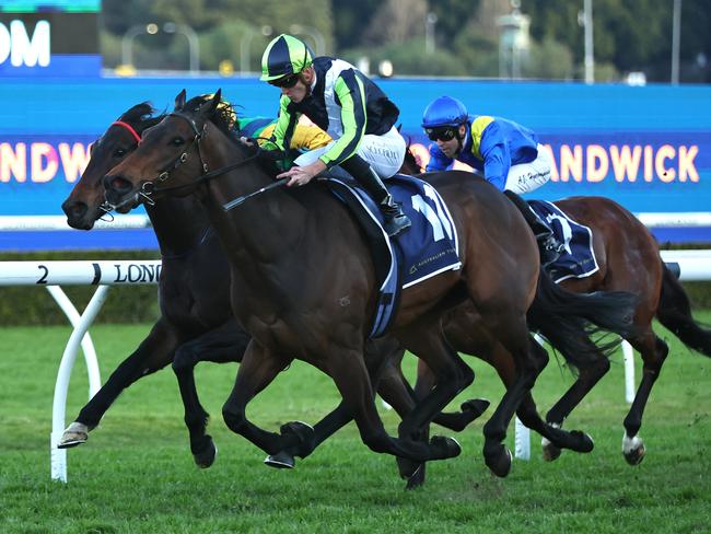 SYDNEY, AUSTRALIA - JULY 29: Chad Schofield riding Tazaral wins Race 9 NSWROA Trophy  during Industry Celebration Racing for Good Charity Day - Sydney Racing at Royal Randwick Racecourse on July 29, 2023 in Sydney, Australia. (Photo by Jeremy Ng/Getty Images)