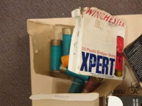 A box filled with ammunition was also found at the Pyrmont apartment.