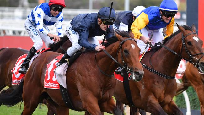 Cape Of Good Hope won the Caulfield Stakes in his Australian debut. Picture: AAP