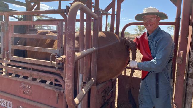 The livestock vet in his natural habitat.