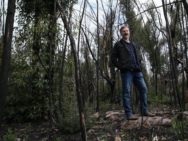 11/09/2020. Adrian Turner, head of the Minderoo FoundationÃs Fire and Flood Resilience initiative, photographed in burnt out forest reserve in South Turramurra in Sydney's north. Britta Campion / The Australian