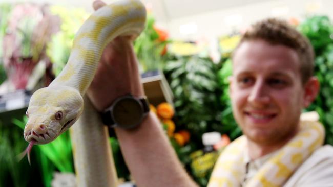 Kellyville sales pets reptiles