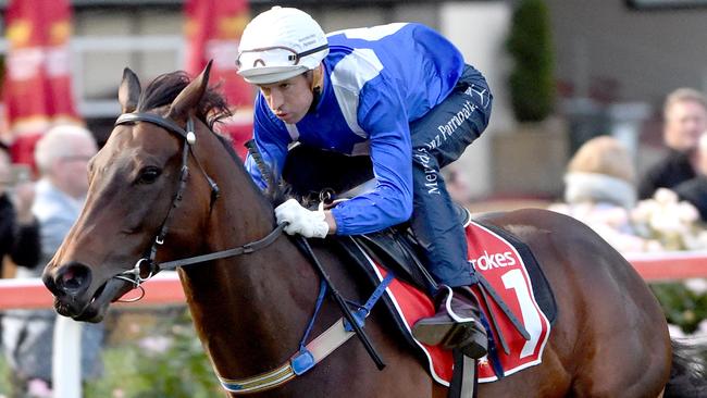 Cox Plate 2017: Winx out to emulate Kingston Town’s three-peat at ...