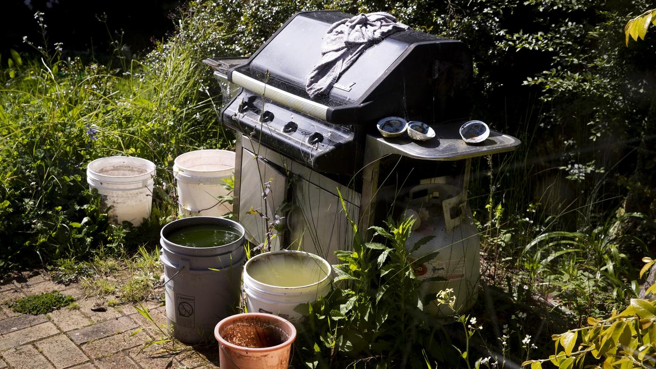 Cans of urine in the garden. Picture: Dean Purcell/NZ Herald