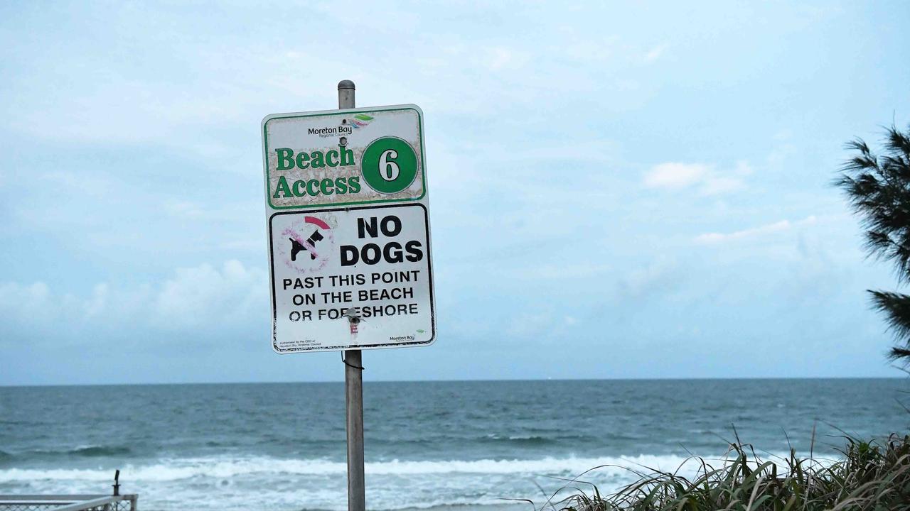 A teenage girl has died after being bitten by a shark off Bribie Island. Picture: Patrick Woods.