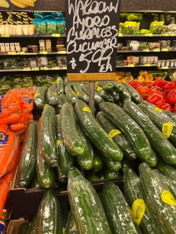 Meanwhile, an off-season cucumber is currently selling at $5.99 each. Picture: Reddit