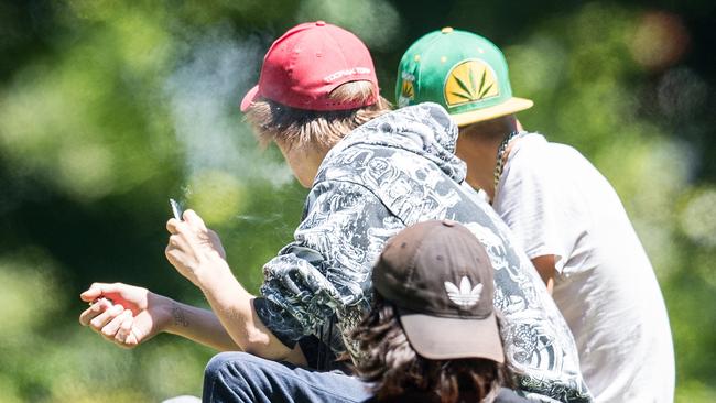 Marijuana smokers at a 420 picnic at Flagstaff Gardens. Picture: Stuart Walmsley